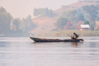 AFRICA, uganda, wildlife, wildlife photography