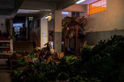 AFRICA, uganda, wildlife, wildlife photography