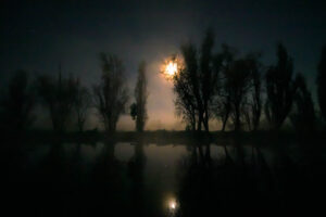 Amanecer, CDMX, Mexico, paisaje, xochimilco